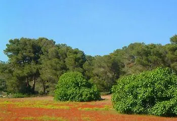 Landhaus Agroturismo Ses Arenes Colònia de Sant Jordi Spanien