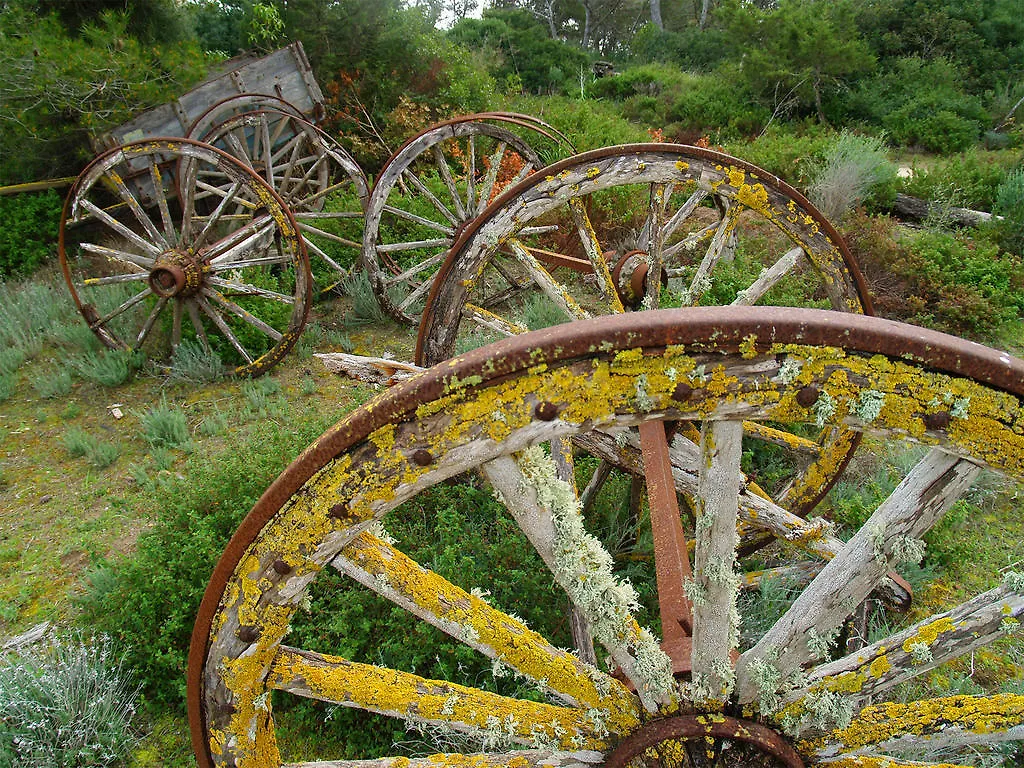 Landhaus Agroturismo Ses Arenes Colònia de Sant Jordi