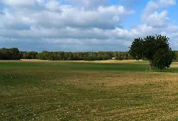 Landhaus Agroturismo Ses Arenes Colònia de Sant Jordi
