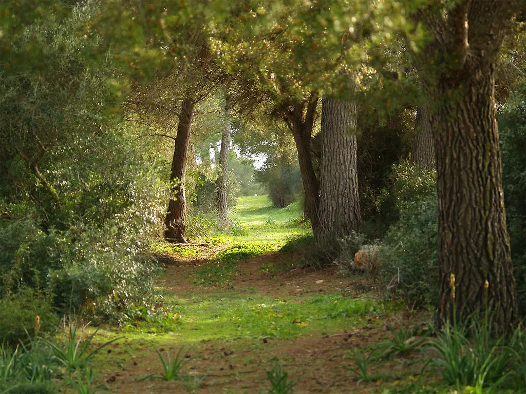 Country house Agroturismo Ses Arenes Colonia de Sant Jordi
